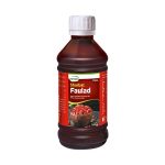 HAMDARD SHARBAT-E-FAULAD 175ML