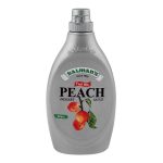 SALMANS PEACH DESSERT SAUCE 623G